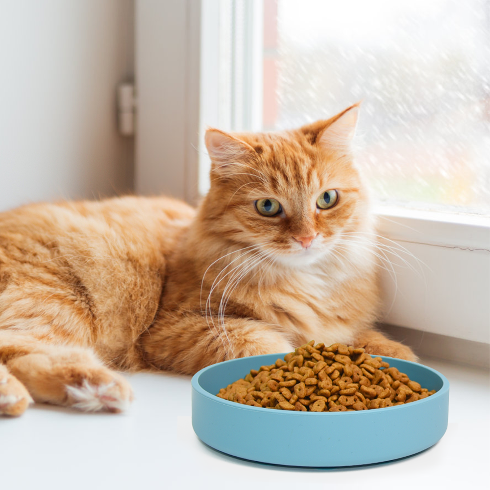 Slow Feeder Dog Cat Maze Bowl